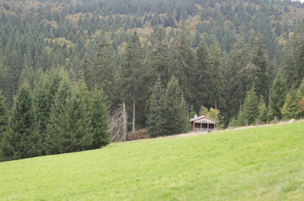 Hotel Grossbach Menzenschwand Exterior photo